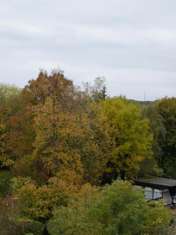 Mit Balkon *